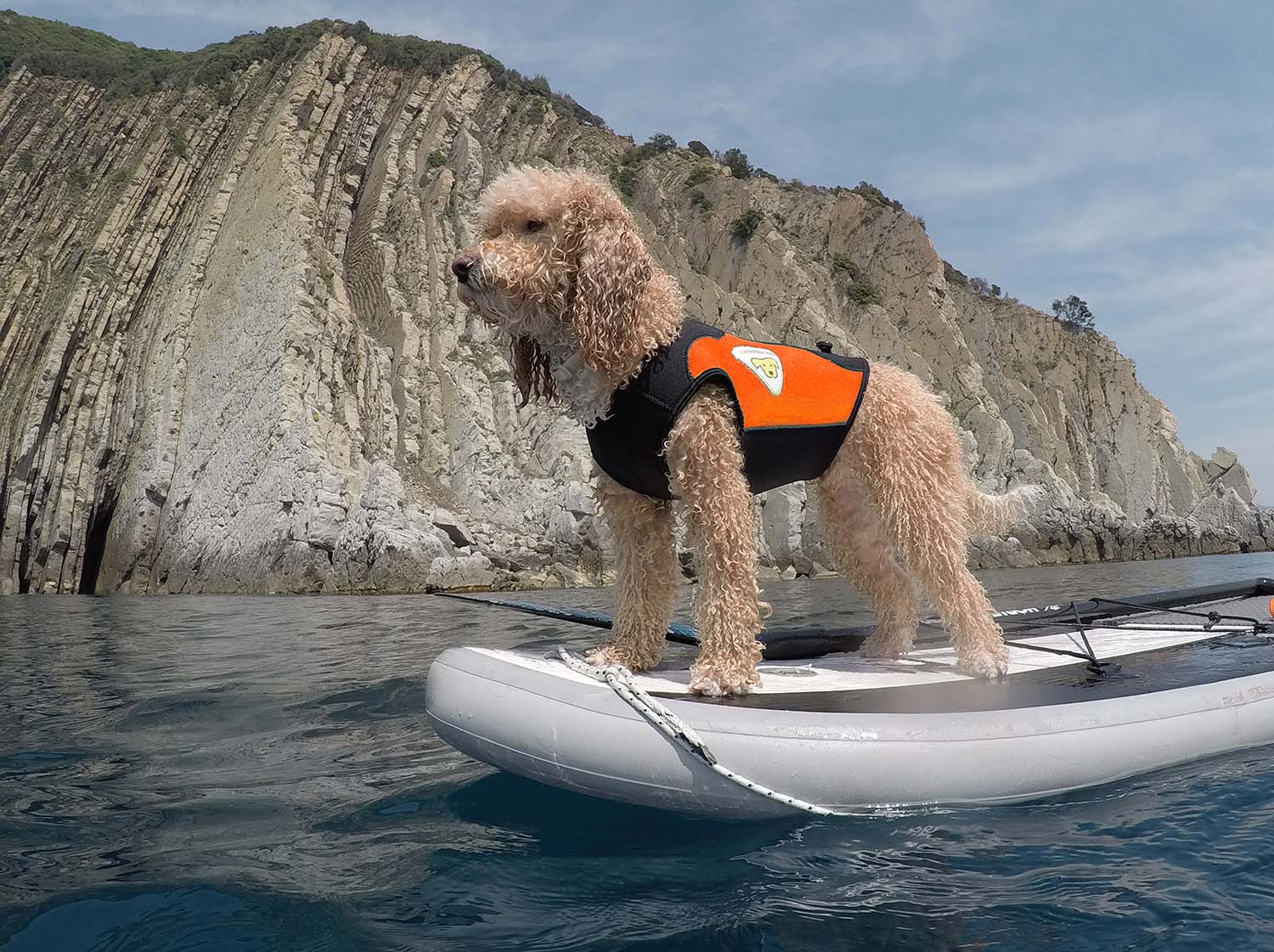 cressi-dog-sup