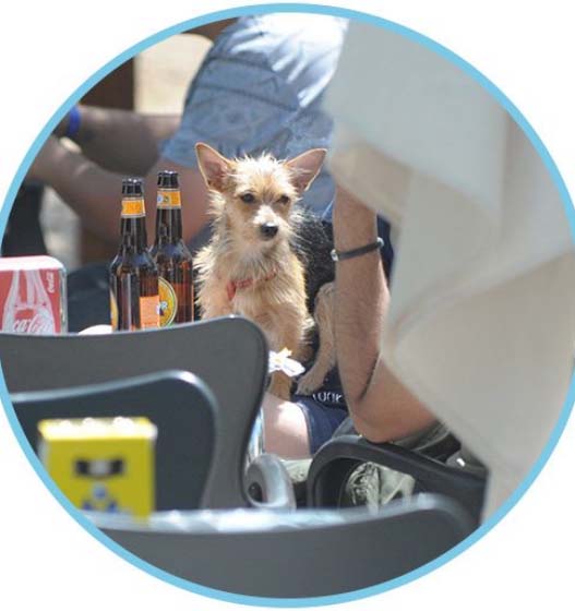 Ristorante-perros-el-agua-copia