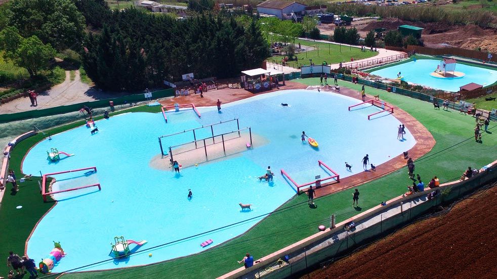 perros-al-agua-parco-acquatico-cani