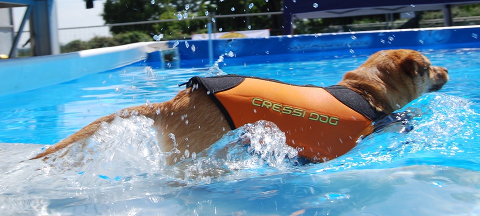 muta neoprene Cressi dog