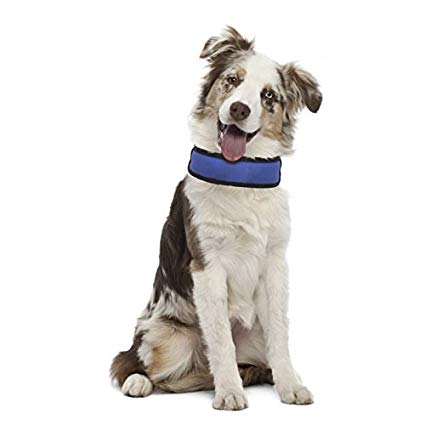 prodotti-refrigeranti-per-cani-collare-refrigerante