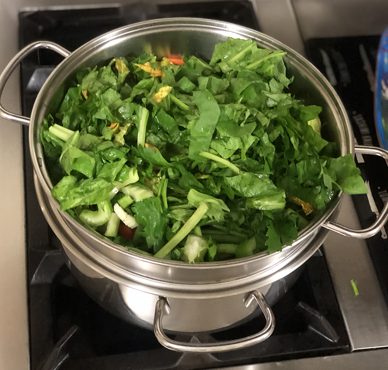 quali verdure possono mangiare i cani