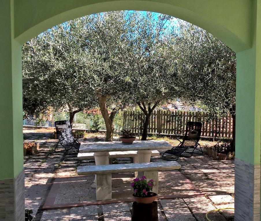 Giardino degli Ulivi foto B&B Elfo degli Ulivi