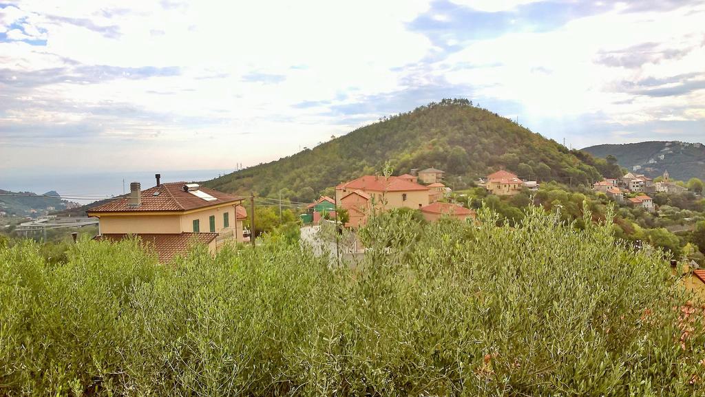 B&B elfo degli ulivi panorama