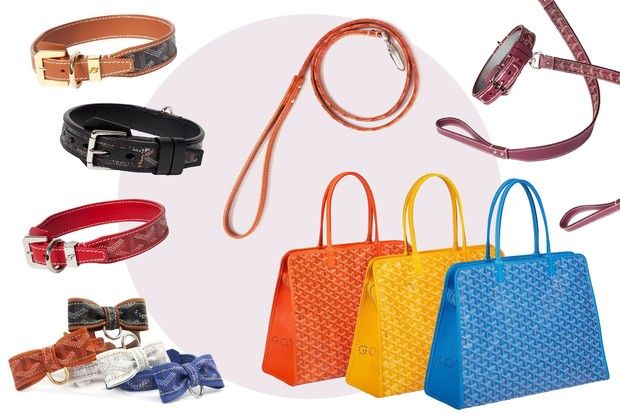 Goyard luxury dog accessori borse guinzagli collari chic du chien