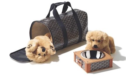 trasportino per cani 