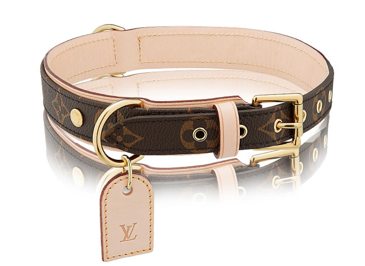 collare vuitton accessori di lusso per cani

