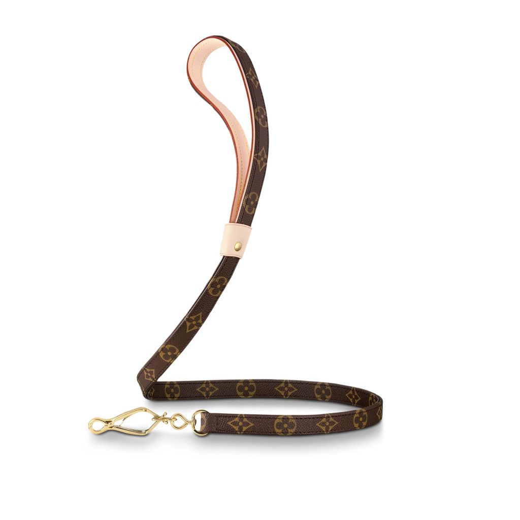 guinzaglio Vuitton Baxter accessori  di lusso per cani collare vuitton

