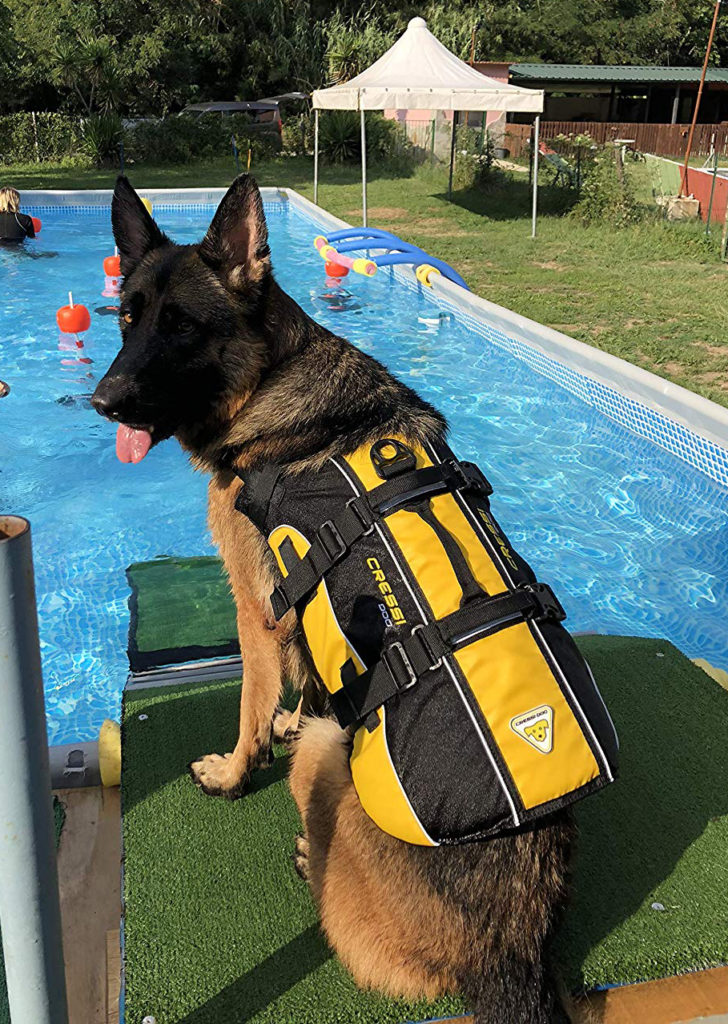 giubbotto di salvataggio per cani salvagente per cani cressidog life jacket