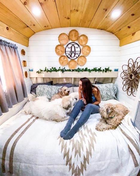skoolie camper cani scuolabus cressi dog
