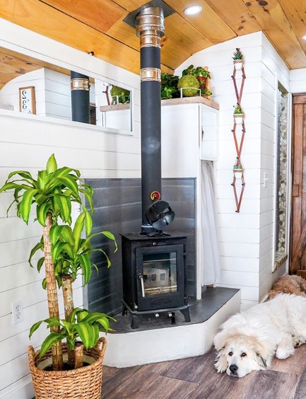 skoolie camper cani scuolabus cressi dog