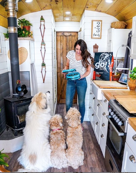 skoolie camper cani scuolabus cressi dog